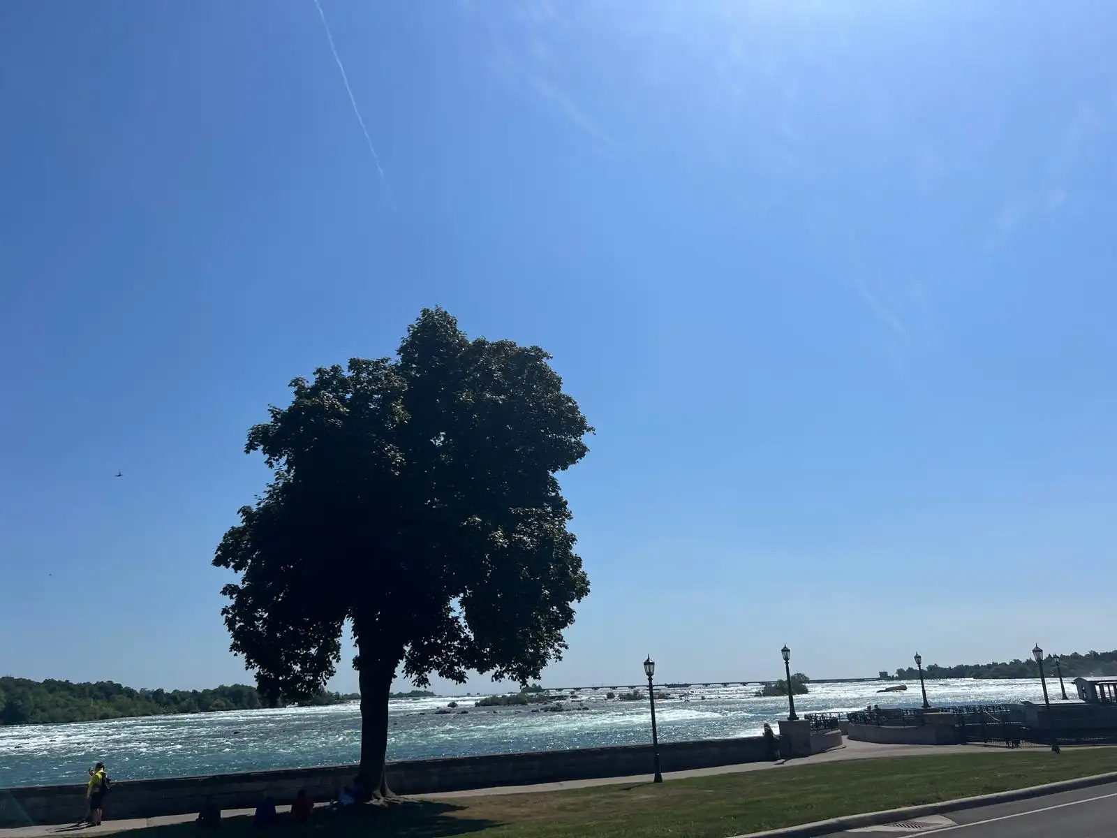 Niagara Falls park greenery and Horseshoe Falls